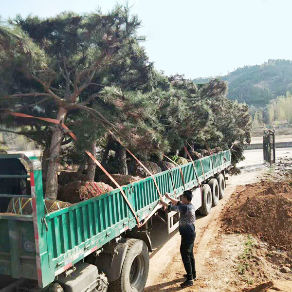 裝車(chē)現(xiàn)場(chǎng)